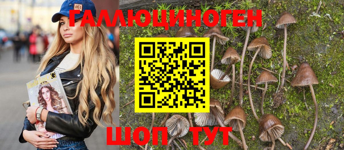Псилоцибиновые грибы Psilocybe Красноуфимск