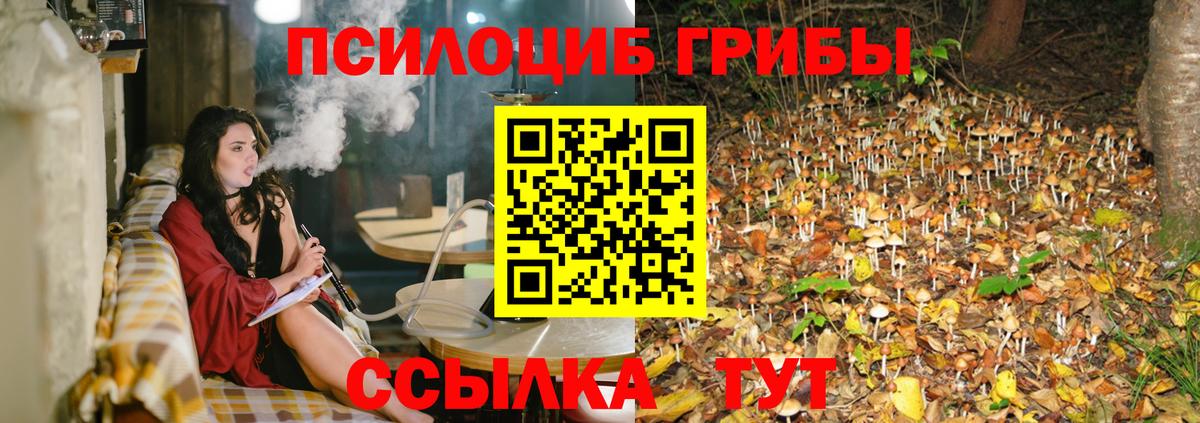 Красноуфимск  Псилоцибиновые грибы прущие грибы  Вход с VPN  Псилоцибиновые грибы MAGIC MUSHROOMS 